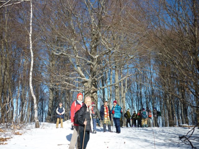 photo37.jpg