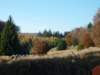 photo438_small.jpg