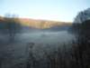 photo439_small.jpg