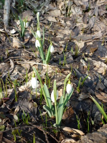 photo73.jpg