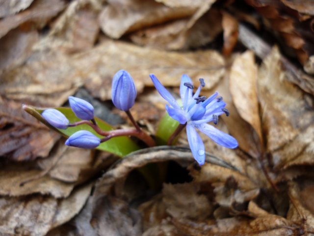 photo89.jpg