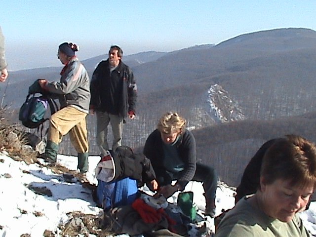 photo11.jpg