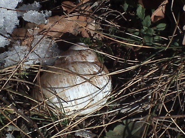 photo12.jpg