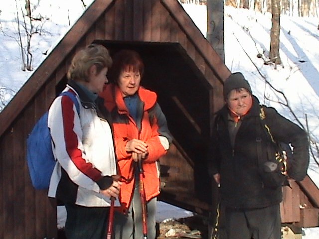photo7.jpg