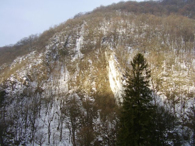 photo101.jpg