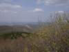 photo151_small.jpg