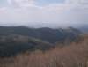 photo158_small.jpg