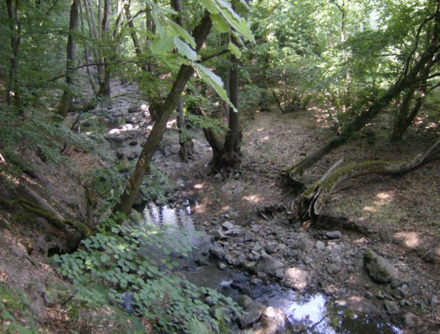 photo176.jpg