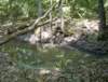photo178_small.jpg