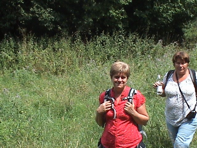 photo282.jpg