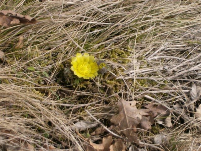 photo289.jpg