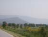 photo308_small.jpg