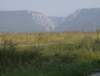 photo317_small.jpg