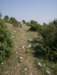 photo358_small.jpg