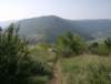photo371_small.jpg