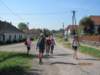 photo379_small.jpg