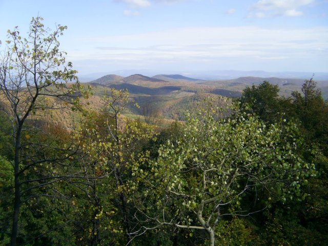 photo56.jpg