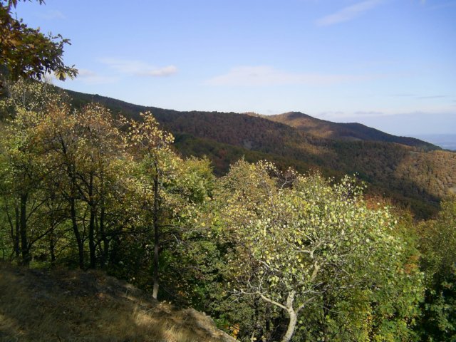 photo59.jpg