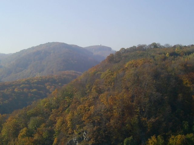 photo67.jpg