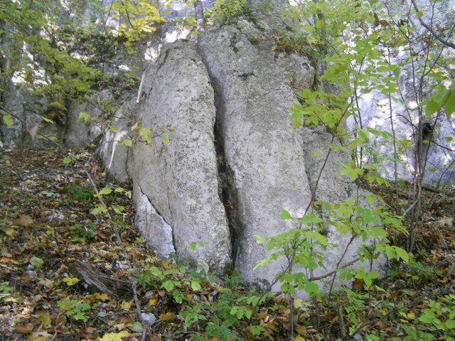 photo75.jpg