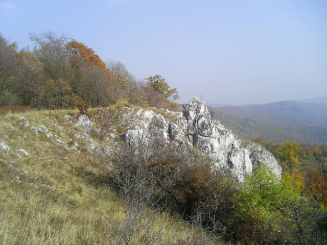 photo84.jpg