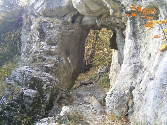 photo85.jpg