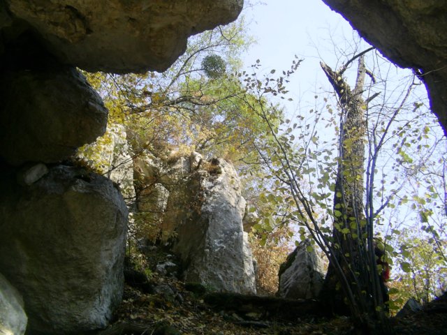 photo86.jpg