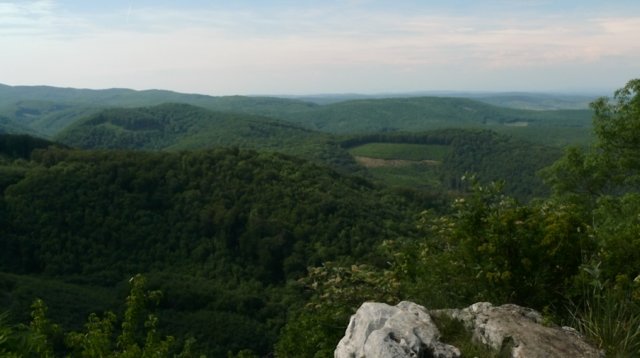 photo1.jpg