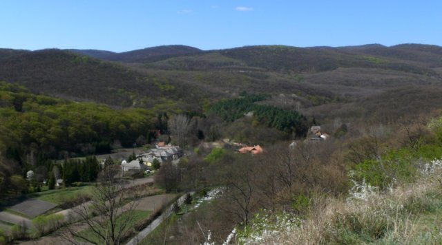 photo17.jpg