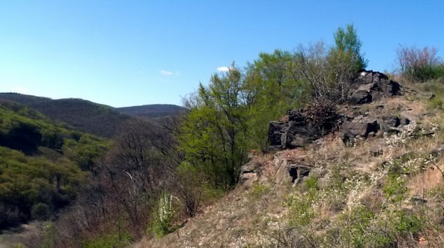photo18.jpg