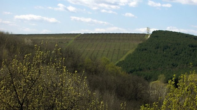photo22.jpg