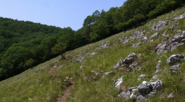photo27.jpg