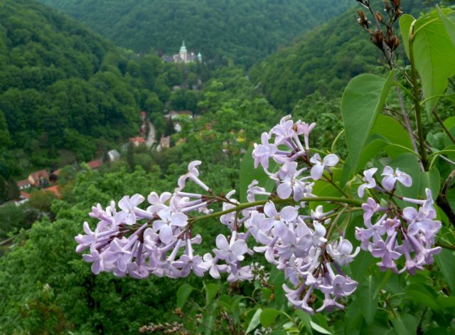 photo3.jpg