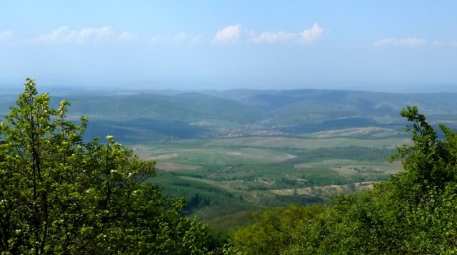 photo6.jpg