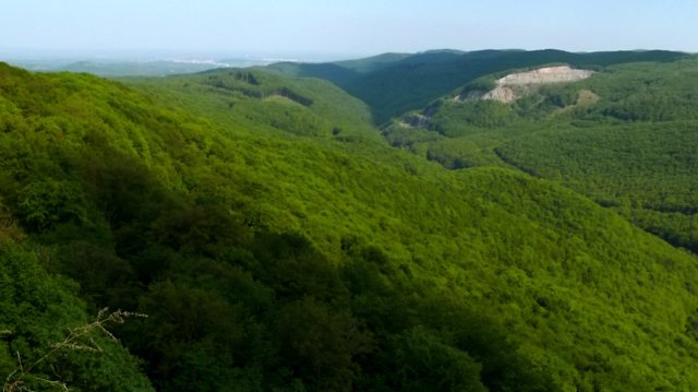 photo7.jpg