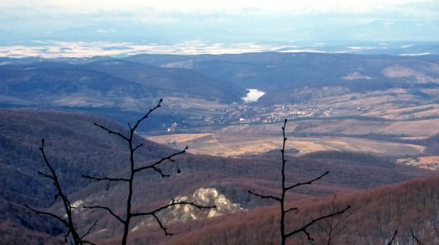 photo9.jpg