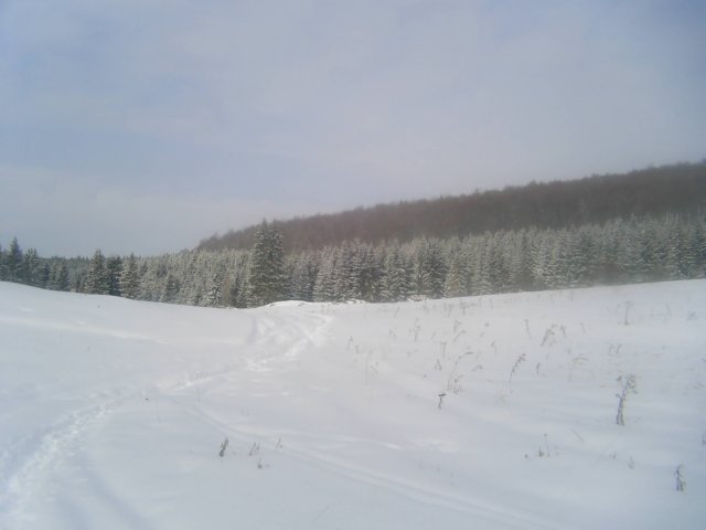 photo1.jpg