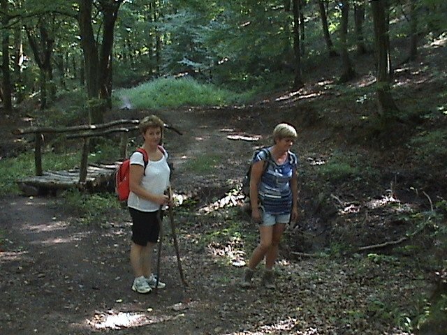 photo108.jpg