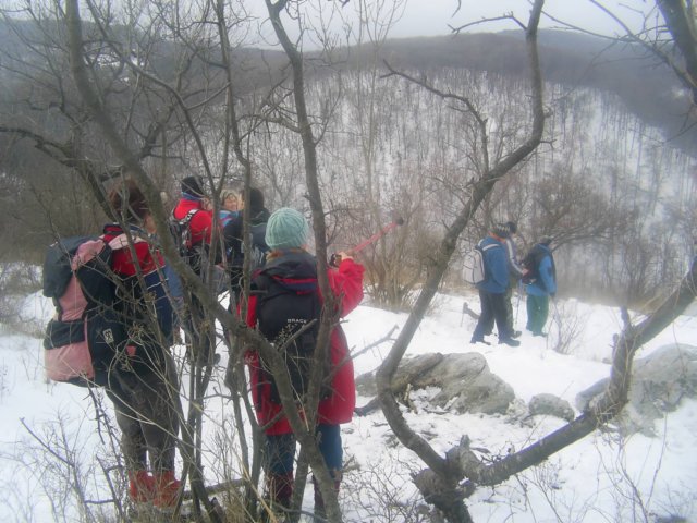 photo11.jpg