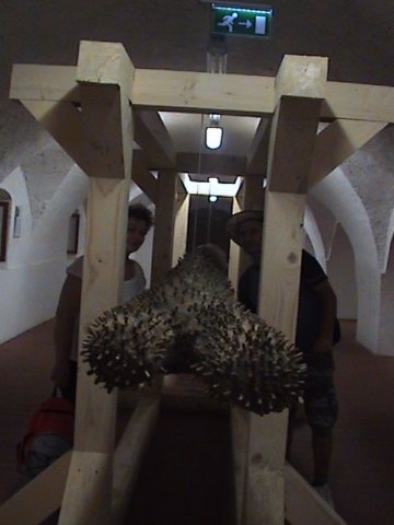 photo110.jpg