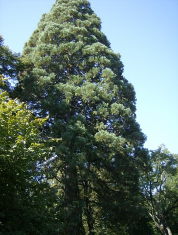 photo131.jpg