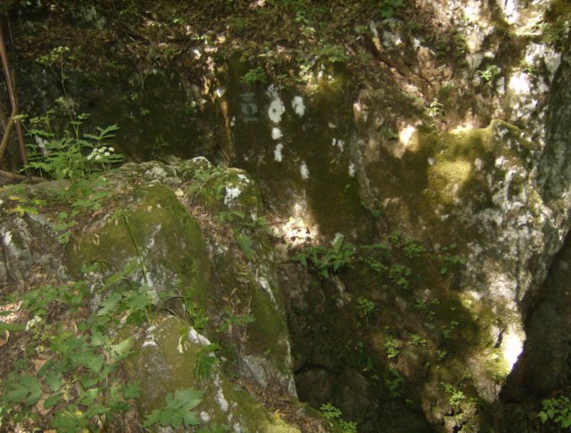 photo147.jpg
