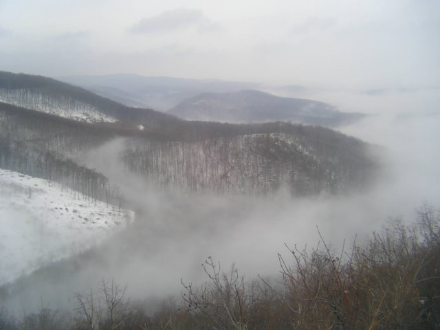 photo16.jpg