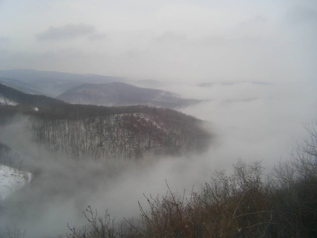 photo17.jpg