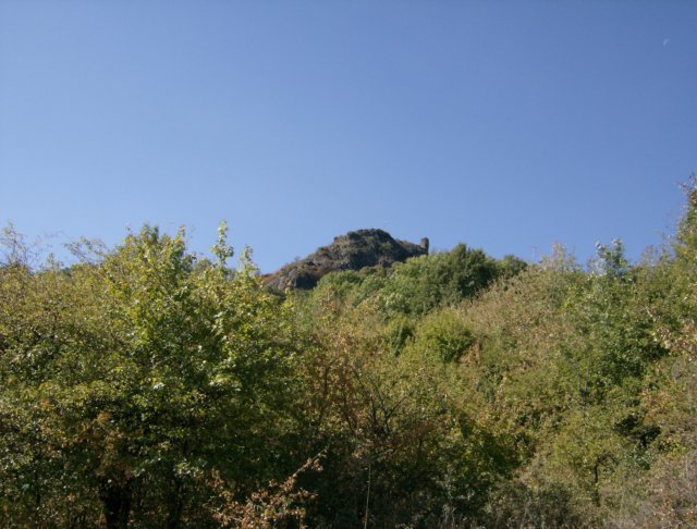 photo176.jpg