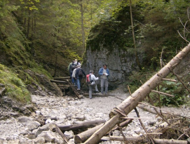 photo196.jpg