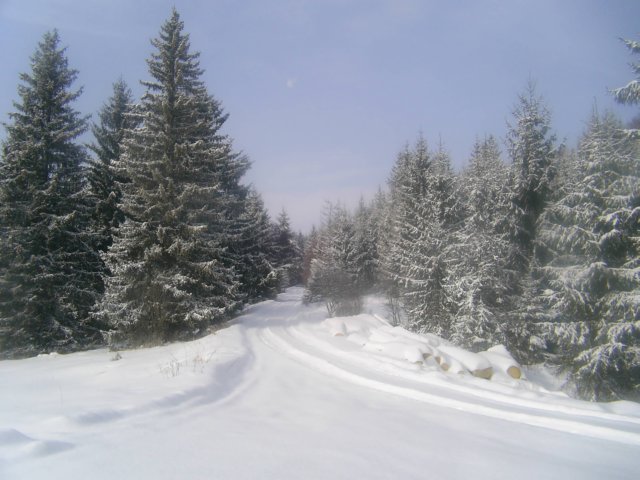 photo2.jpg