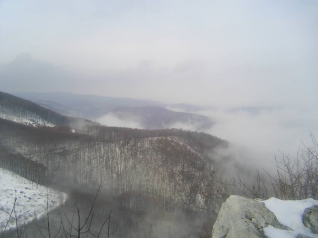 photo20.jpg