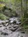 photo204_small.jpg