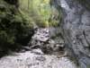 photo213_small.jpg